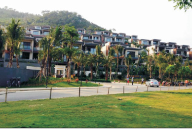 兴隆石梅湾A D别墅区 质感漆 